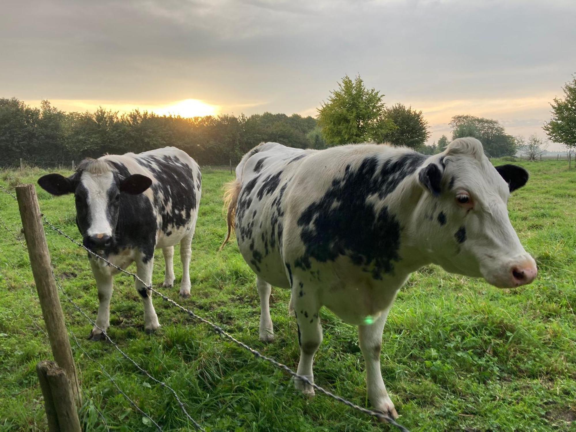 Het Karnhuis Schoondijke Exteriér fotografie